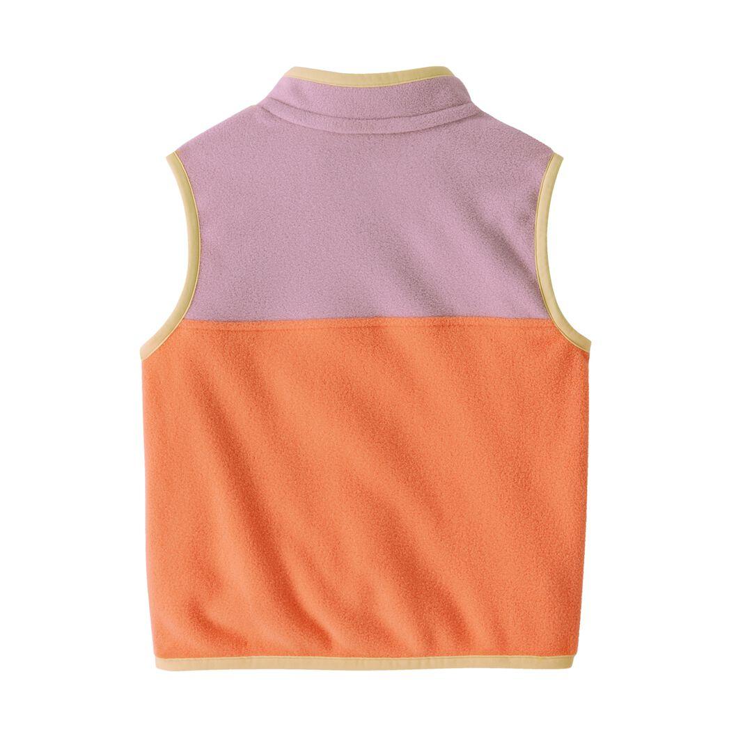 Baby Micro D® Snap-T® Fleece Vest | Patagonia on sale