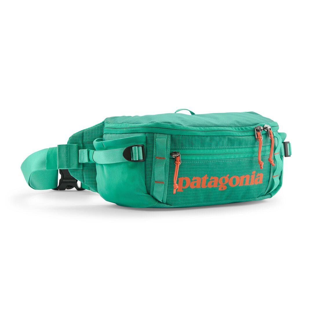 Black Hole® Waist Pack 5L | Patagonia us