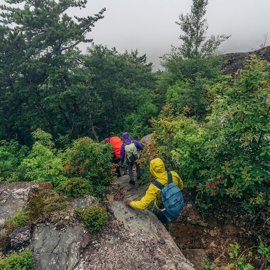 Torrentshell 3L Rain Jacket | Patagonia sale