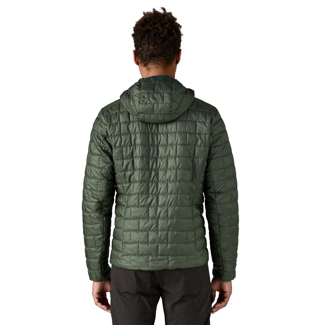 Nano Puff® Fitz Roy Trout Insulated Hoody | Patagonia