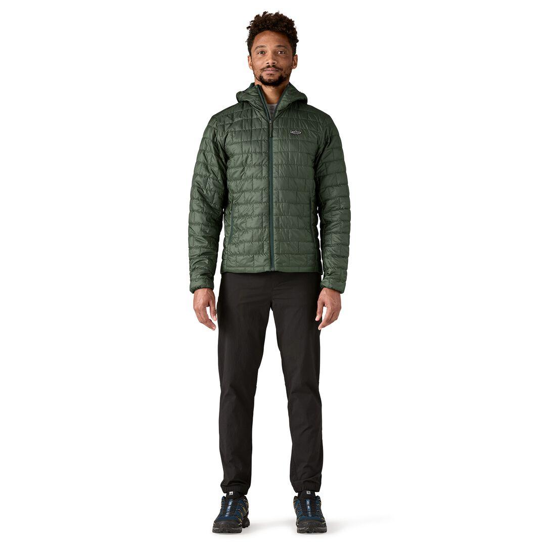 Nano Puff® Fitz Roy Trout Insulated Hoody | Patagonia