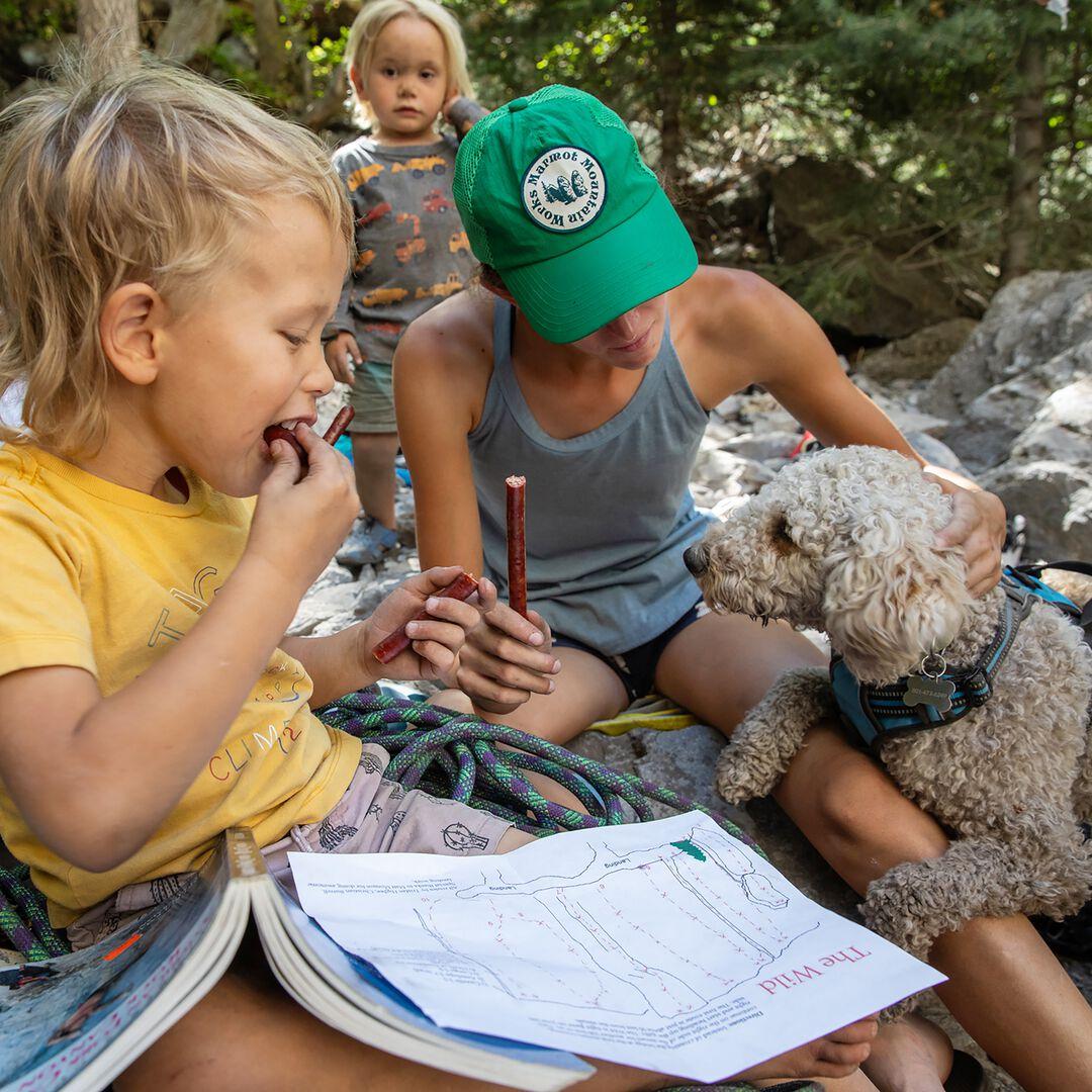 Provisions Grass-Fed Bison Meat Sticks Variety Pack | Patagonia